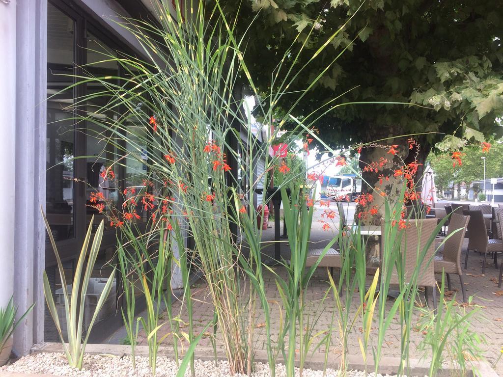 La Hourquie Cafe Hotel Morlaas Екстериор снимка
